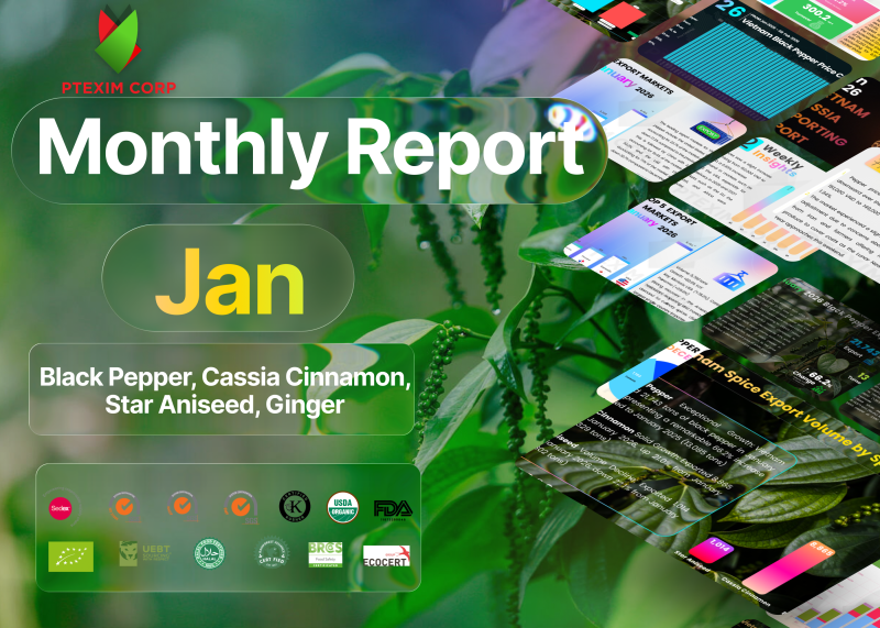 Vietnam Black Pepper, Cassia Cinnamon, Star Aniseed, Ginger Market Monthly Report – January 2026