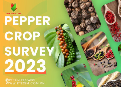 Dự báo thị trường hồ tiêu năm 2023