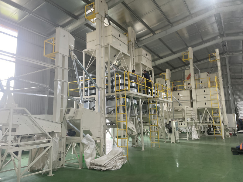 Nhà máy sản xuất hạt tiêu thô